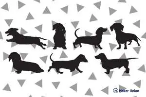 Dachshunds free dxf files preview