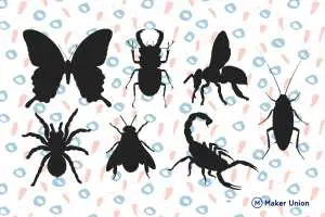 Insects dxf files preview