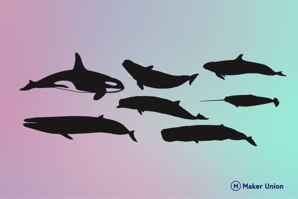 Whales dxf files preview